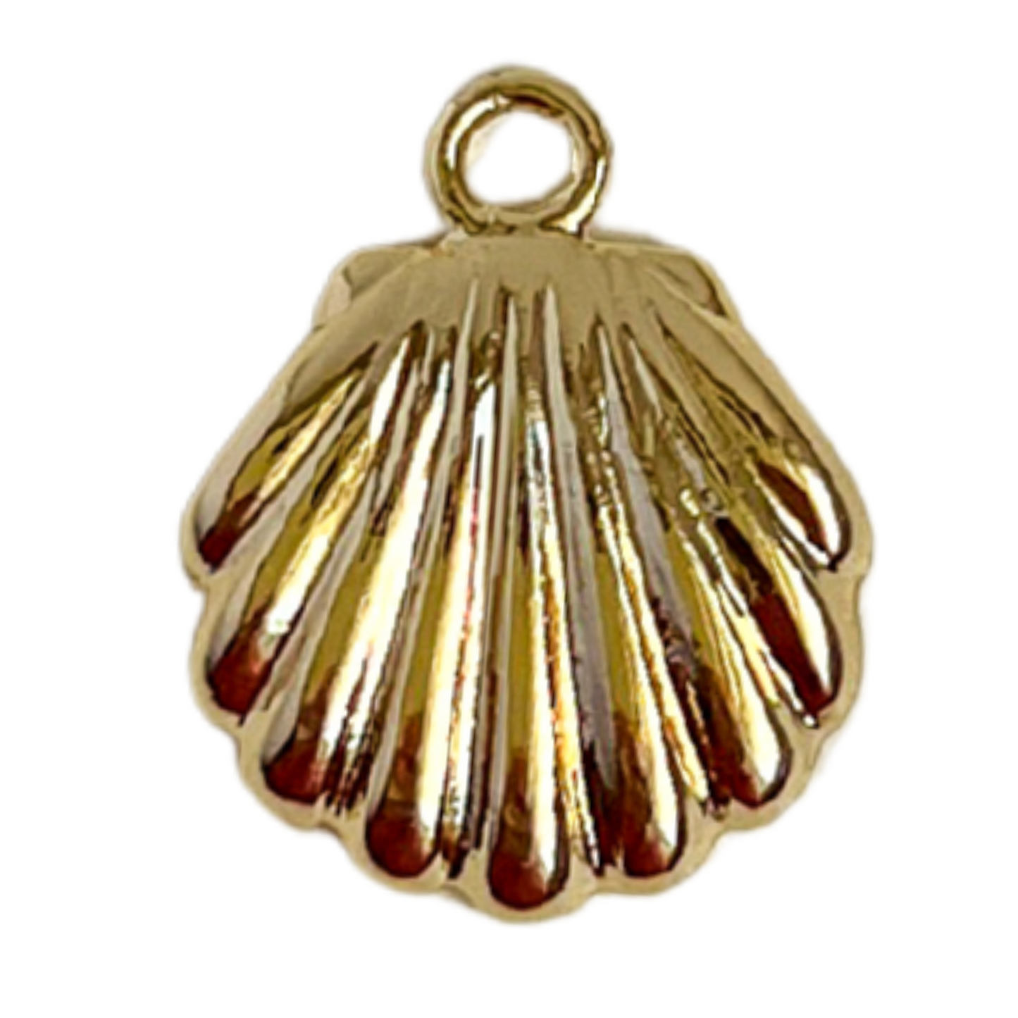Clam Shell