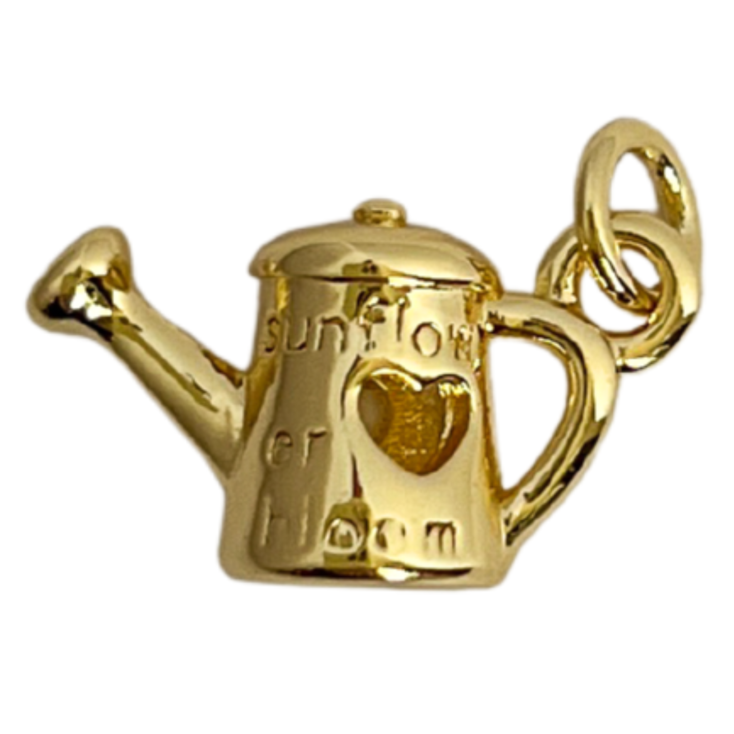 Watering Can