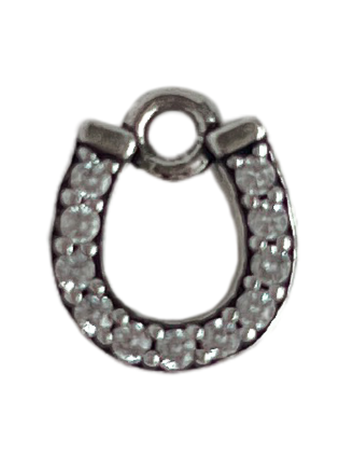 Sparkly Horseshoe S