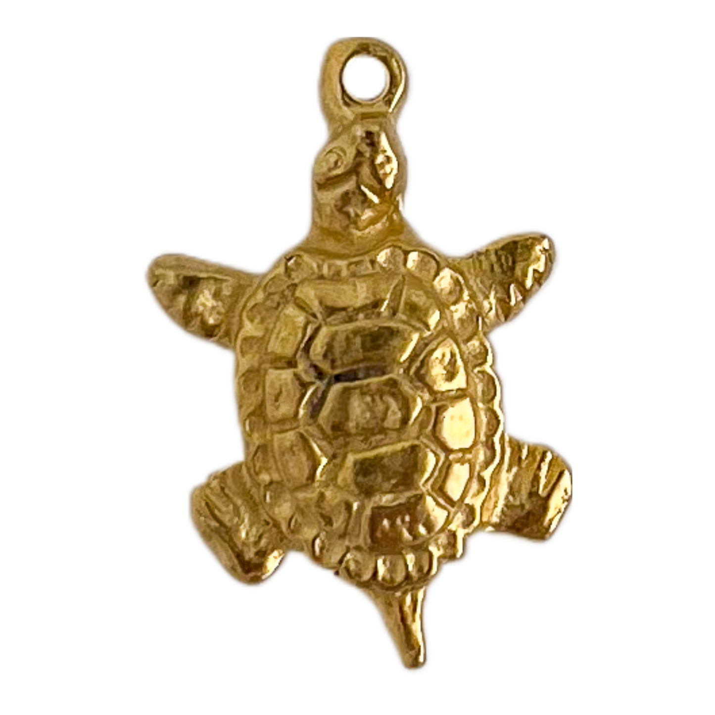 Turtle (V)