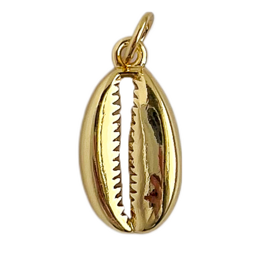 Cowrie Shell